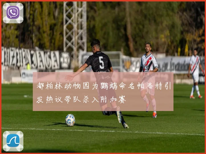 都柏林动物园为鹦鹉命名帕洛特引发热议带队杀入附加赛