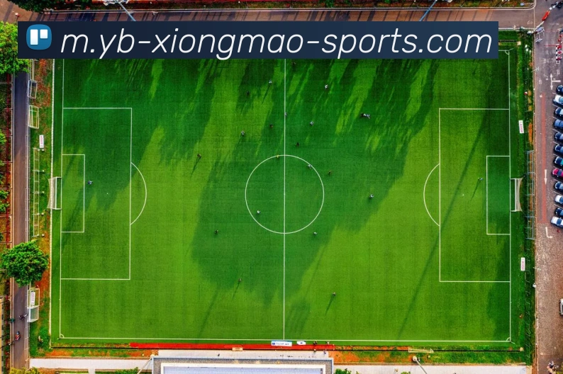 多媒体互动体验